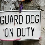 Guard Dog on Duty (original) dog bite expert witness