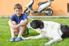 Child & dog