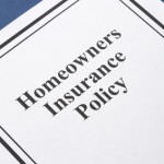 Dog Bite Insurance Claims