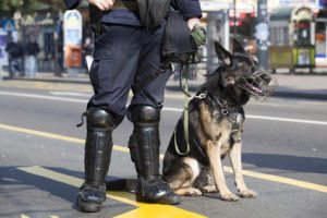 Dangers nature attack train police canines