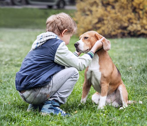 provocation facial dog bite child