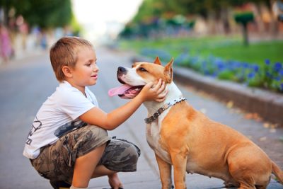 Dog bites child expert