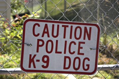 Police dog expert