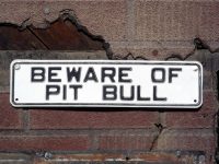 beware of pit bull