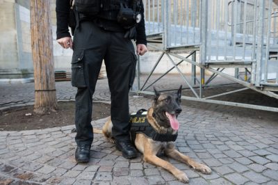 Police k9 excessive force